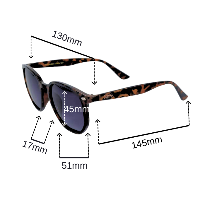 LIFESTYLE POLARIZED SUNGLASSES CLASSIC HK24115
